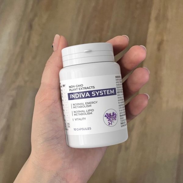 Indiva System — foto 3