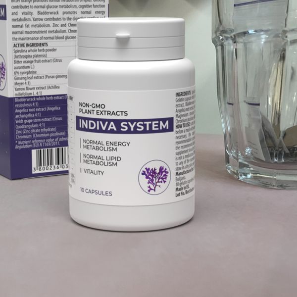 Indiva System — foto 4